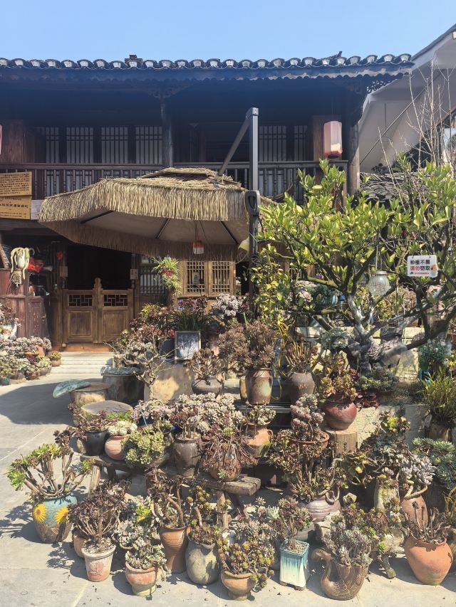 青岩古镇旅行图片 8