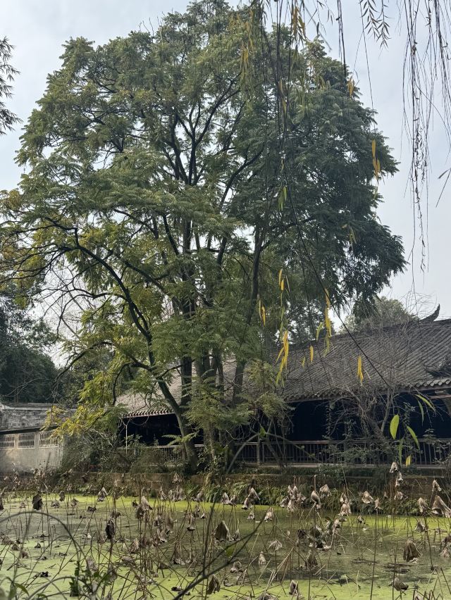 三苏祠旅行图片 1