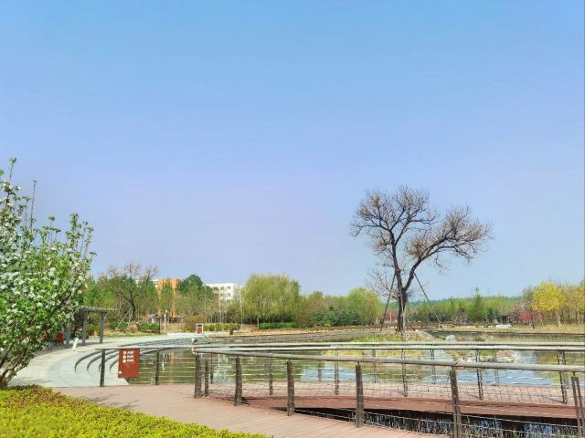 将府公园旅行图片 1