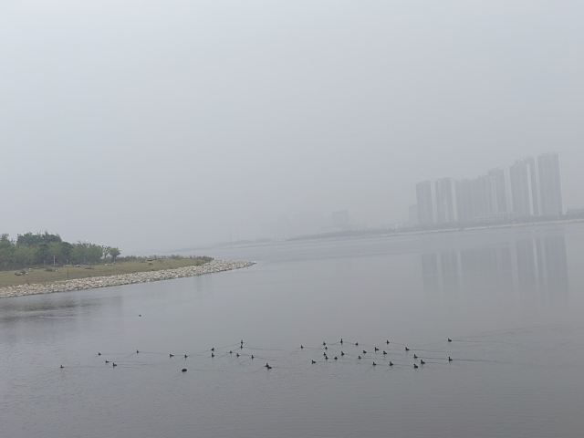 马銮湾环湾带状公园旅行图片 2