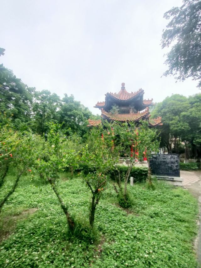 古渡公园旅行图片 4