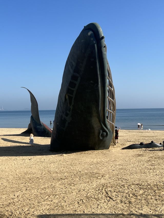 孤独的鲸旅行图片 1