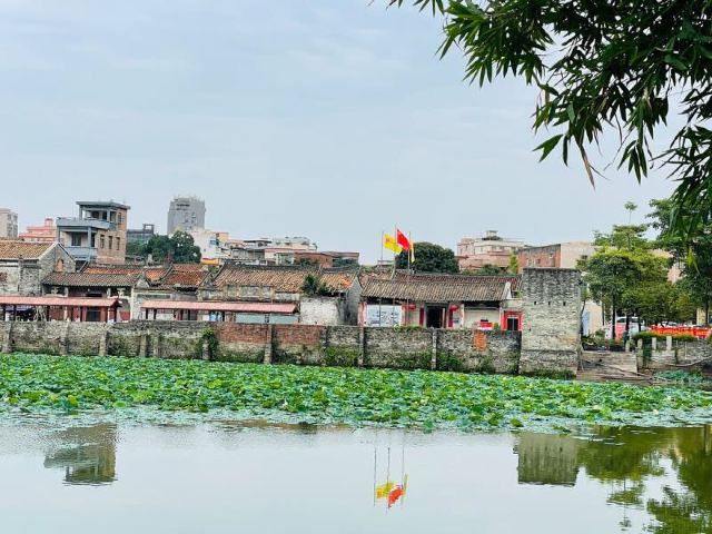 西溪古村旅行图片 3