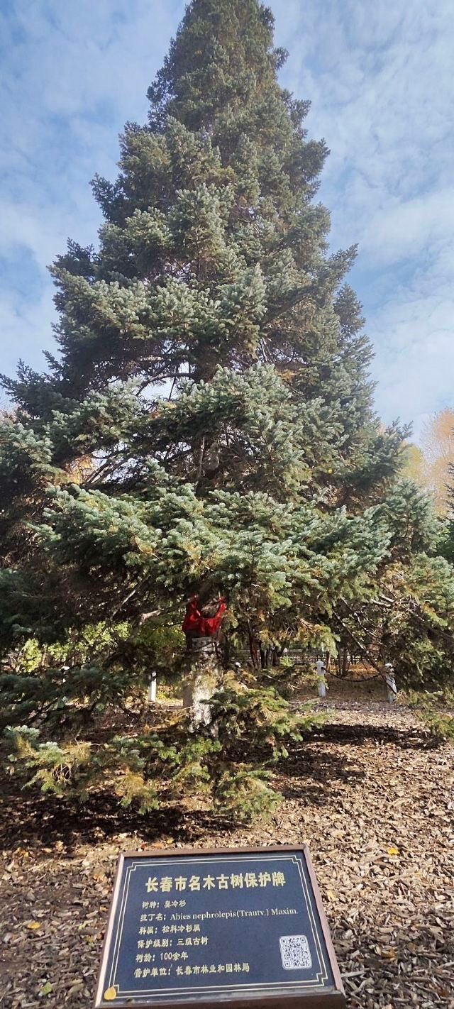 百木园旅行图片 3