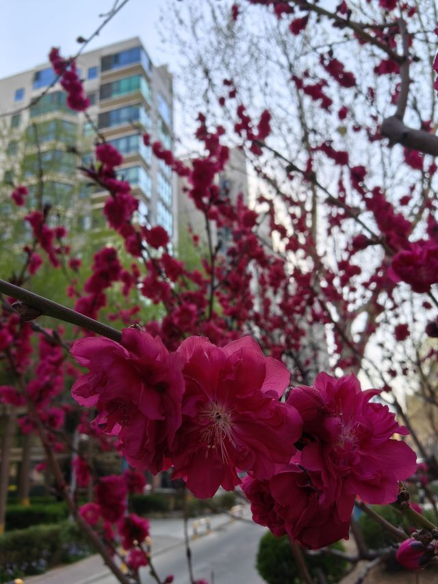双秀公园旅行图片 1