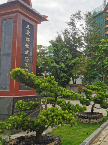 王震部长试验田纪念碑旅行图片 2