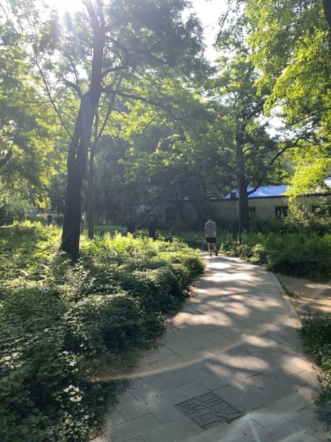 万泉公园旅行图片 2