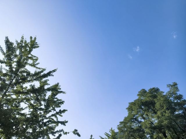 沈北七星公园旅行图片 3
