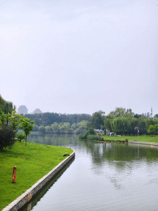 朝阳公园旅行图片 10