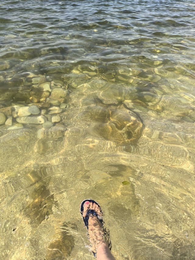 养马岛林间花海旅行图片 3