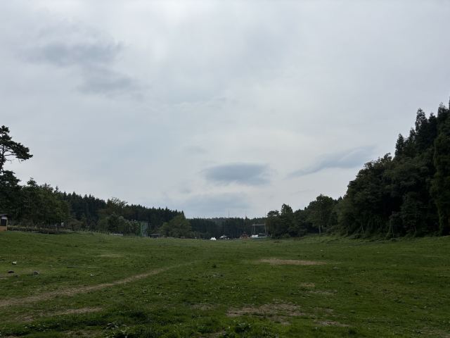 武陵山国家森林公园旅行图片 3