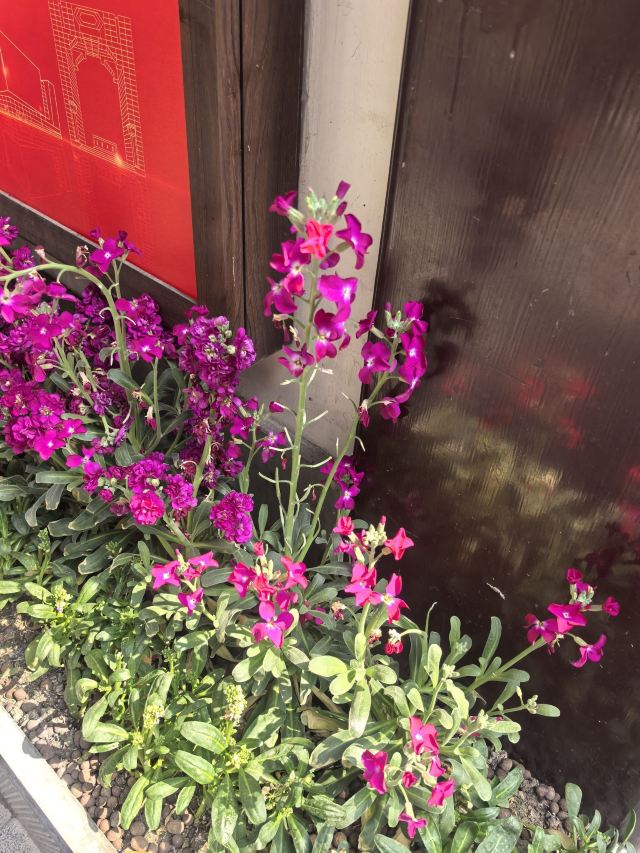 上海豫园旅行图片 6