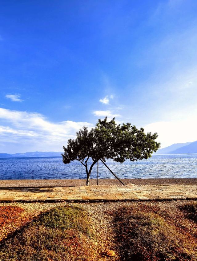 广龙抚海湾湿地公园旅行图片 1