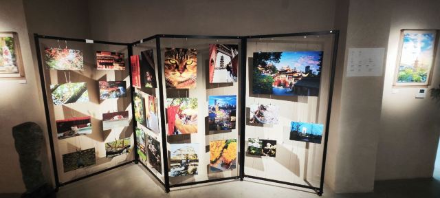 龙华塔旅行图片 4