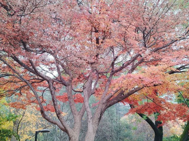 西安市纺织公园旅行图片 3