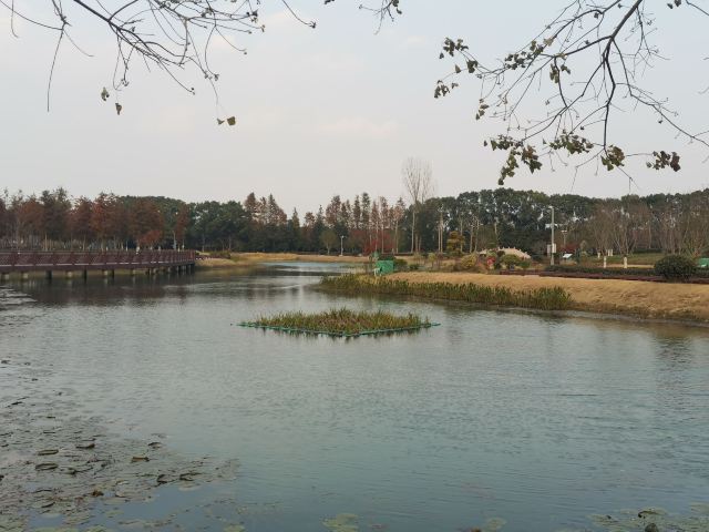 上海浦江之首旅行图片 3