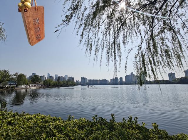 莫愁湖公园旅行图片 8