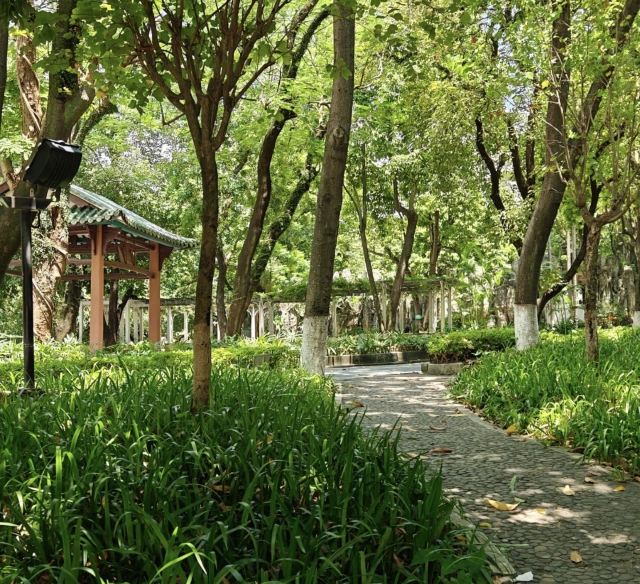 东莞人民公园旅行图片 1