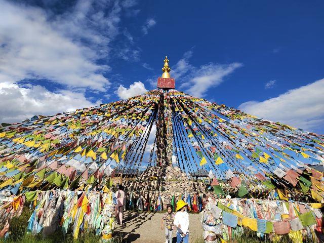 若尔盖热尔部落梅花鹿生态园旅行图片 1