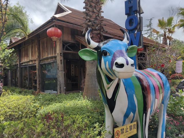 丽江千古情景区旅行图片 2