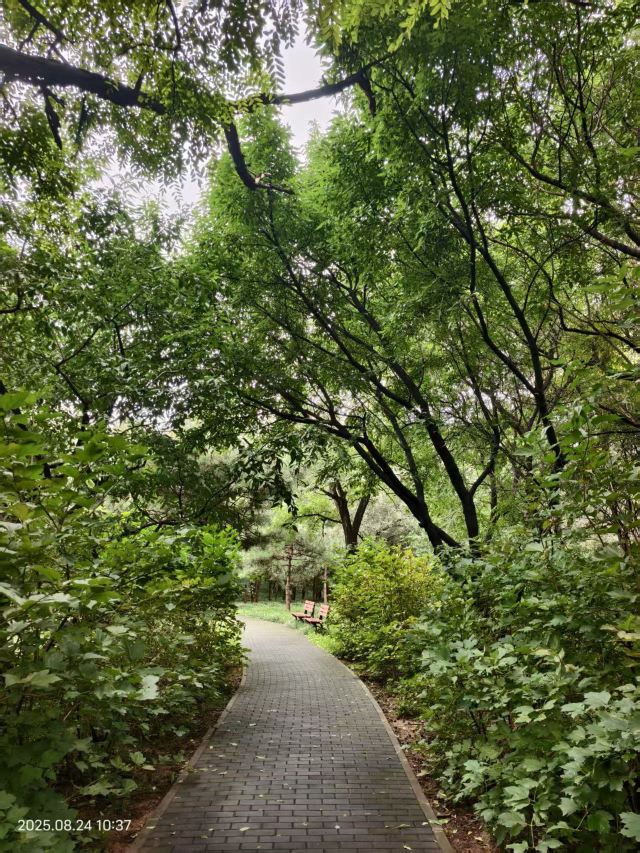 老山城市休闲公园旅行图片 6