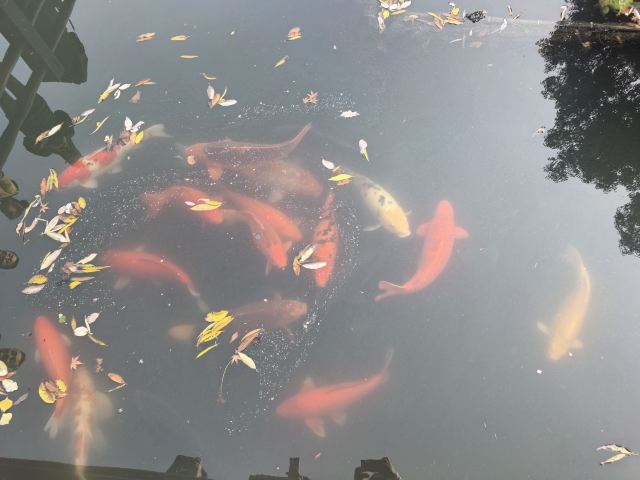 三峡千古情景区旅行图片 2