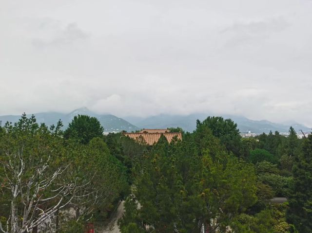 岱庙旅行图片 1