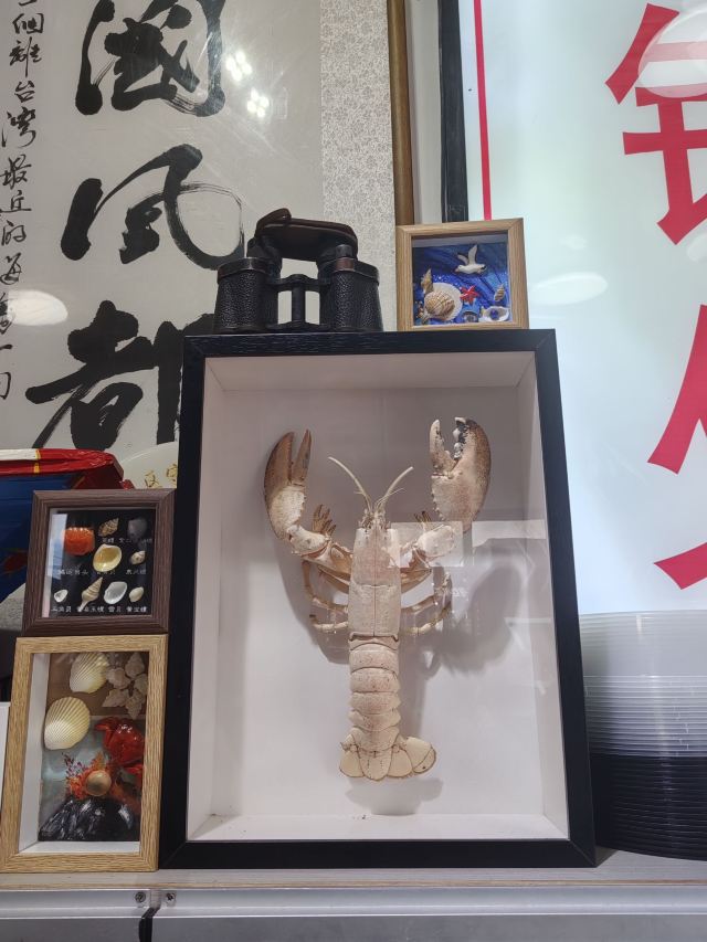 龙王头海滩旅行图片 8