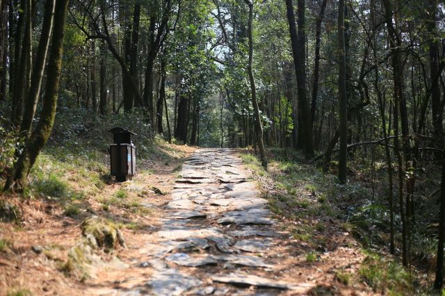 长坡岭国家森林公园旅行图片 4