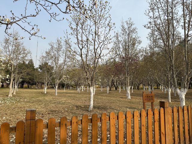 北京国际雕塑公园旅行图片 4