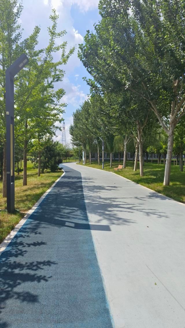 中德公园旅行图片 6