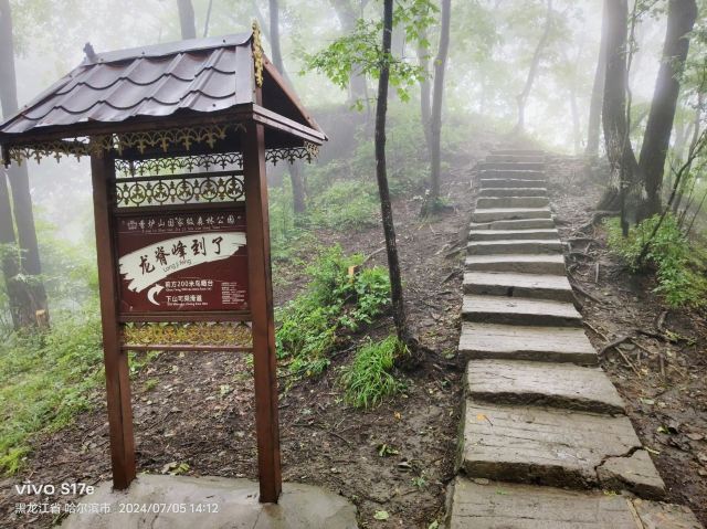 金蟾望月旅行图片 2