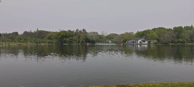 上海共青森林公园旅行图片 3