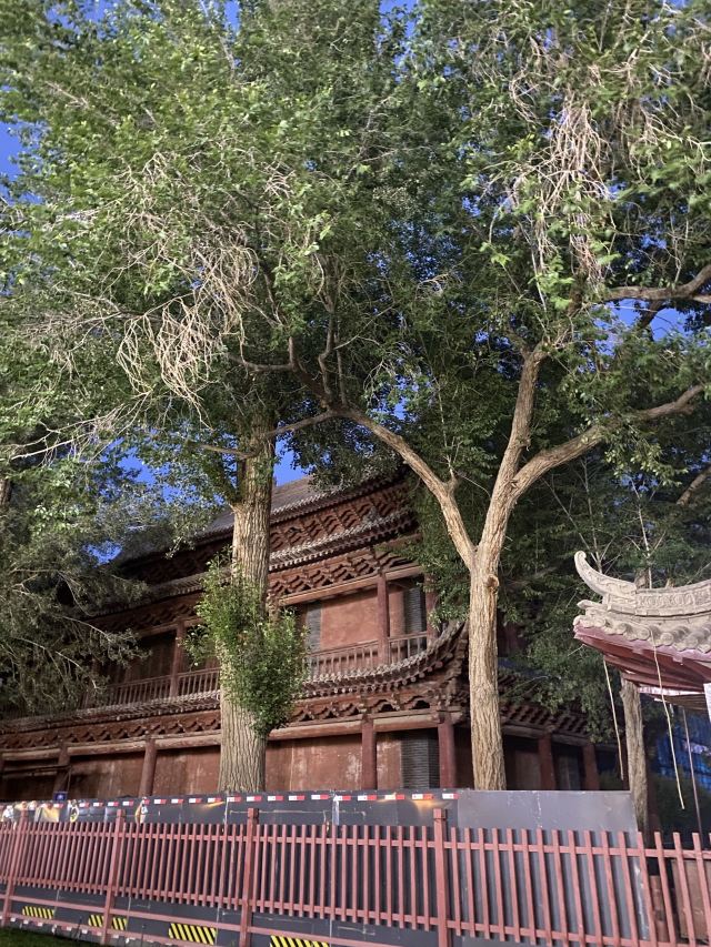 木塔寺旅行图片 3