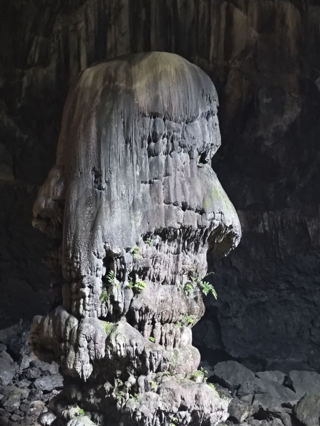 弄响天坑旅行图片 4