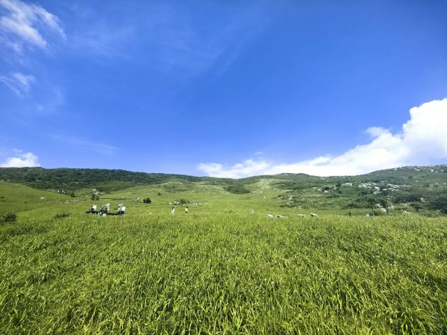 韭菜坪旅行图片 6