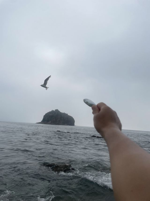 棒棰岛旅行图片 2