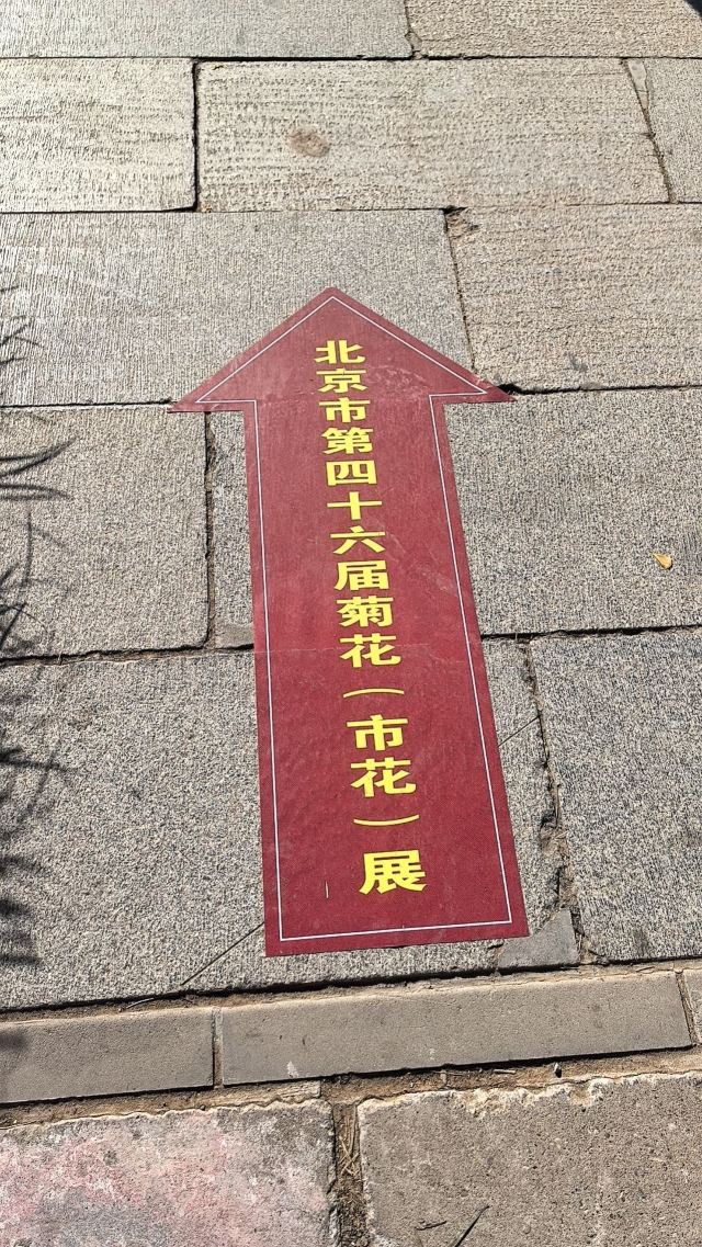 北海公园旅行图片 8
