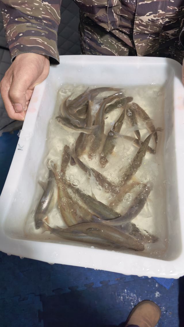长白山西麓白溪全域漂流风景区旅行图片 3