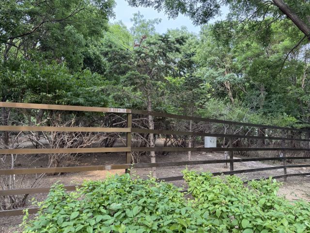 熊岳植物园旅行图片 3