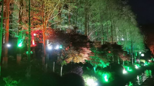 市民公园旅行图片 3