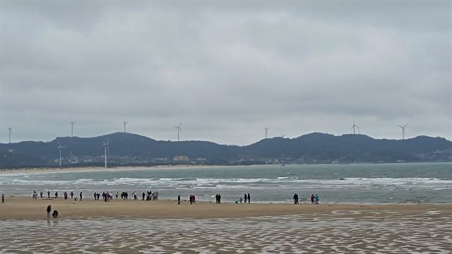 蓝眼泪观景点(长江澳海滩)旅行图片 6