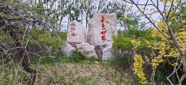 宪法公园旅行图片 5