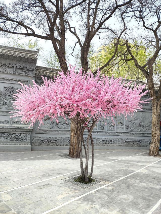 西宁东关清真大寺旅行图片 2