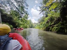 巴厘岛-毋庸白白
