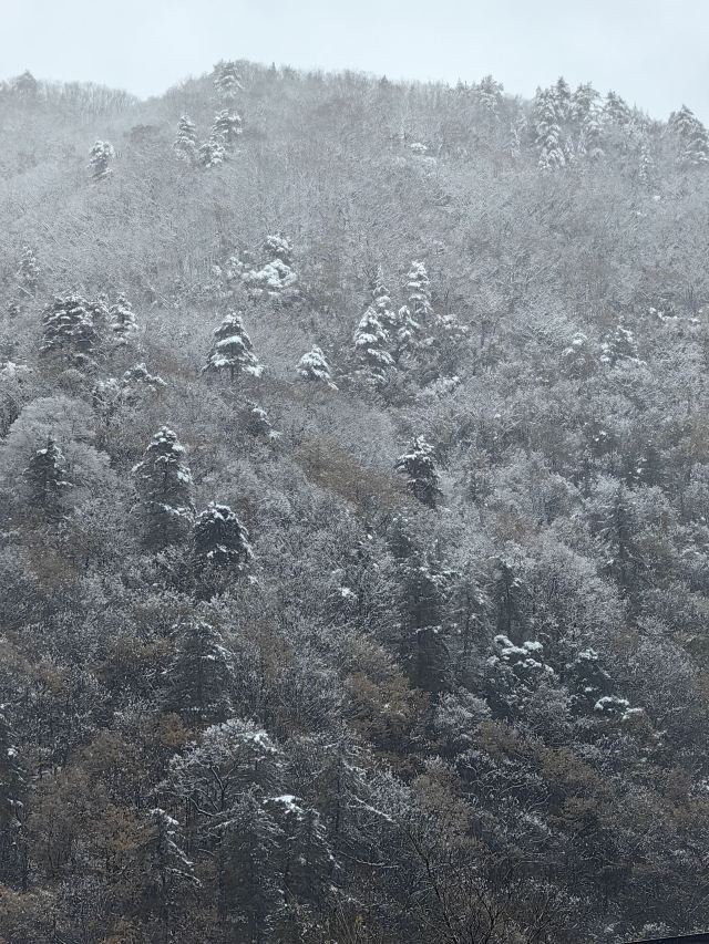 秦岭风景区旅行图片 6