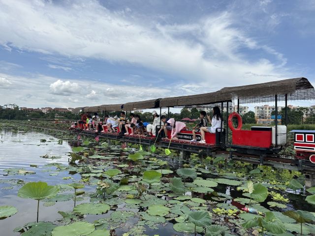 芭西哩湾旅行图片 1