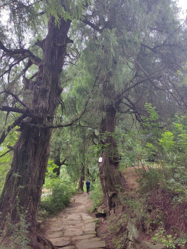 先秦古蜀道旅行图片 2