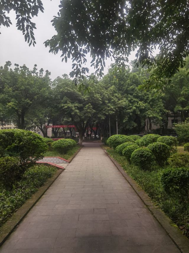 重庆朝天门广场旅行图片 5