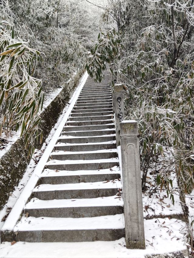 天台国家森林公园天台山索道旅行图片 1
